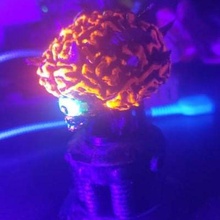 madre cerebro juego metroid nintendo súper pavor vídeo juegos 3d Arte chozo 3d print model - Mito3D
