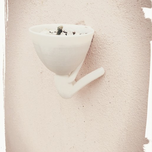 montagne cactus en pot 2 la maison de fleur fleurs tête robert plant l'usine 3D print model - Mito3D