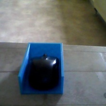 mouse box 3d print model - Mito3D