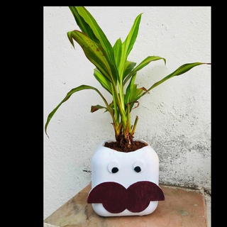 moustache planter pot face man human decor cute eye hole shape unique planters pots idea fresh 3d print model - Mito3D