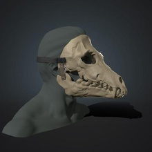 móvel crânio mascarar moda cosplay Bruxas osso arte Horror criatura acessórios traje cara assustador dentes jogos 3d print model - Mito3D