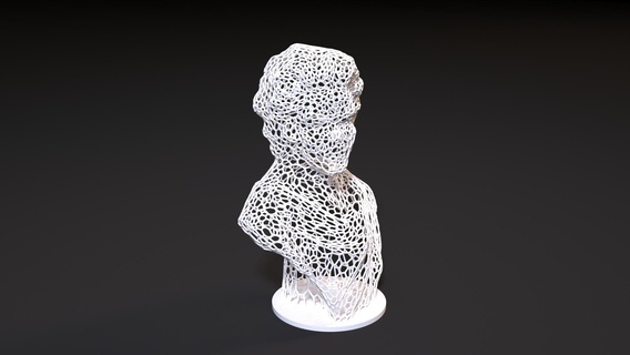Mozart buste sculpture musicien historique homme décoratif statuette architectural décoration art décor Accueil maison figure filaire voronoi lampe câble 3d print model - Mito3D