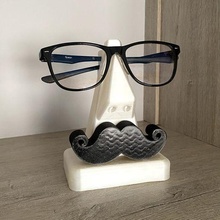 mr Fernandes lunettes titulaire soutien gadget 3d print model - Mito3D