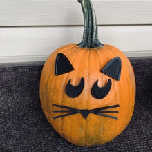 mrpumpkin head halloween cat pumpkin face kids craft art lover carving jack o lantern fun design 3d print model - Mito3D
