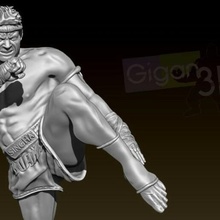 Muay thaïlandais boîte wahkaw bats wwe mma Gregor Mike Tyson 3d print model - Mito3D