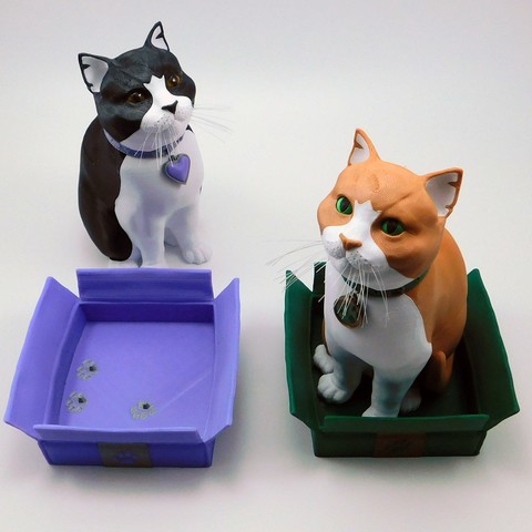 schrodinky british shorthair gatto box 3d stampabile parte multi modello estrusione pacchetto l'assemblaggio figurina la scultura soldi banca colore 3D print model - Mito3D