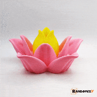 multifunctional lotus flower decoration house home office tea light coaster bowl empty pocket lamp led holder functional print place printinplace support gift mother's day randomizy 3d print model - Mito3D