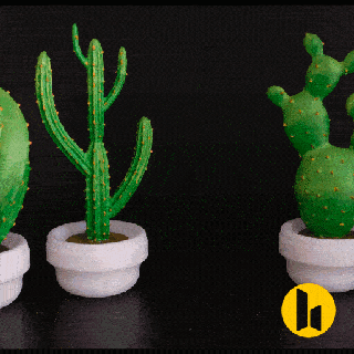 multiple cactus home decor - support needed plant coffee cute cacti apple bedroom desk succulent setup nightstand office plants table easy realistic 3d print model - Mito3D