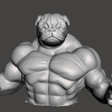 muscle pug various dog 3d print model - Mito3D