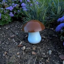 mushroom bolet girolle various mushrooms chanterelle boletus garden decoration season