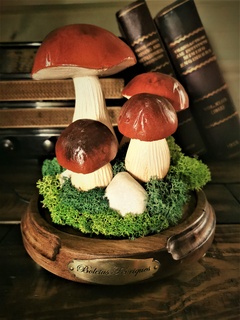 mushroom ceps Home mushrooms decoration garden fairy tale 3d print model - Mito3D