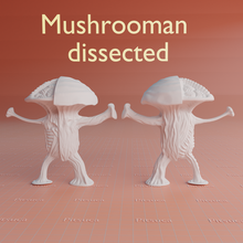 mushrooman dissected mushroom creature game fungi miniature figurine specimen anatomy fantasy 3d print model - Mito3D