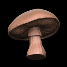 mushrooms resin rprach 3d print model - Mito3D