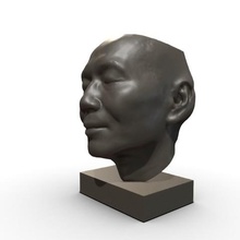 mon visage art portrait 3dprinting 3dscan sculpture 3d print model - Mito3D