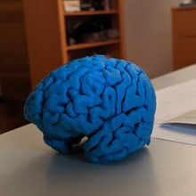 mybrain art cervello sculture 3d print model - Mito3D