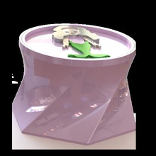 casella di mistero casa brahmbeej Stampa 3d ragazze archiviazione scatola stoccaggio 3d print model - Mito3D