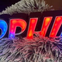 crachá conduziu luminária gadget neopixels esp8266 letras Sophie 3d print model - Mito3D
