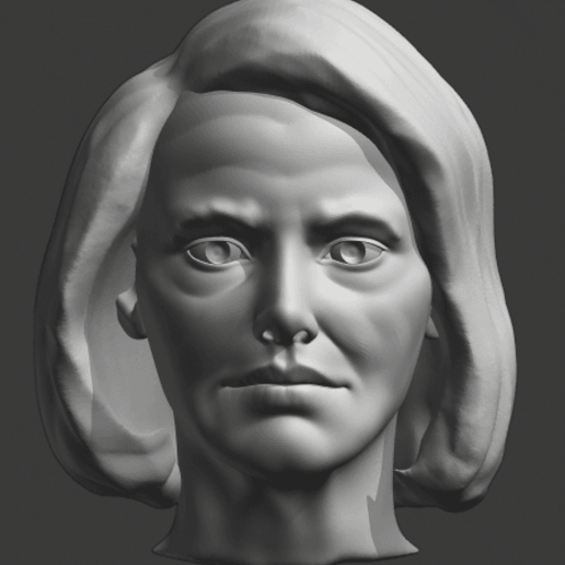 nancy pelosi vari trump america 3D print model - Mito3D