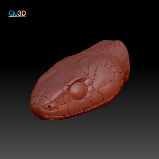 natrix-natrix snake- grass head model -high-polygon snake snakes terraristics art decoration 3D print model - Mito3D