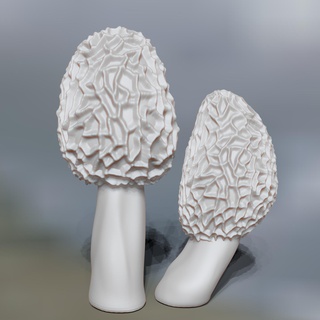 naturalista scultura Morel funghi fungo 3d print model - Mito3D
