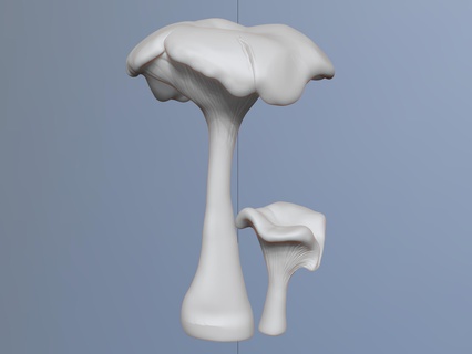 naturalist sculpture mushrooms girolle wallflower miniature 3d print model - Mito3D