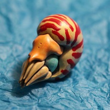 nautilus a arte tentáculos shell de um olho cefalópode criatura do mar 3d print model - Mito3D