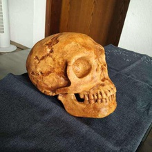 neanderthaler crânio a arte réplica stoneage fósseis 3d print model - Mito3D