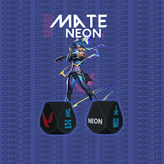 neon valorant matte csgo mate shooter game videogames duelist argentina 3d print model - Mito3D