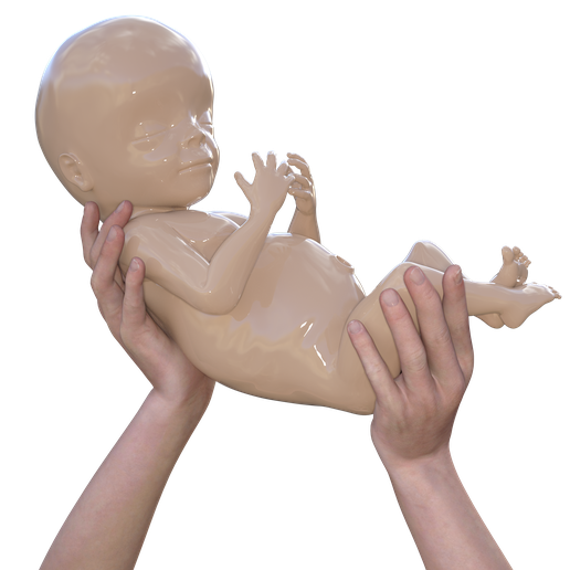 newborn baby hands 3D print model - Mito3D