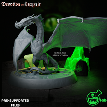 nezoo verde Wyvern jogos ttrpg rpg tampo mesa miniatura miniaturas d dnd masmorras dragões fantasia imenso 3d print model - Mito3D