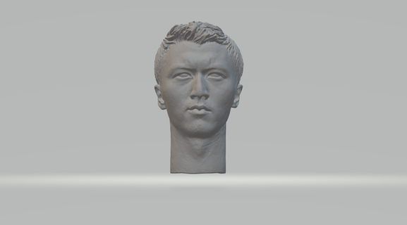 Nicholas tse ting fung baş 3d Yazdır model mantar büst Vesika Mads heykel karakter erkek insan Sanat heykeller orta 3d print model - Mito3D