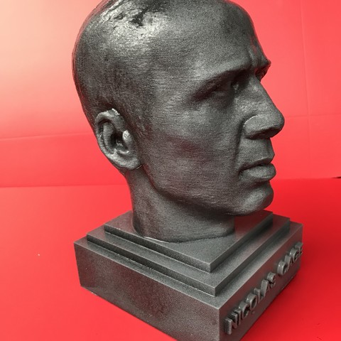 nicolas cage Skulptur, 3d-Druck bereit Kunst conair Kopf 3d stl 3D print model - Mito3D