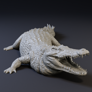 Nilo coccodrillo animale selvaggio fauna selvatica safari realistico scultura 3d print model - Mito3D