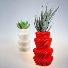 nino f pot succulents vase succulent pianta grassa vaso design 3d print model - Mito3D