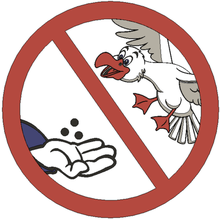 no bird feeding please - mmu sign art animals birds funny lammesky 3d print model - Mito3D