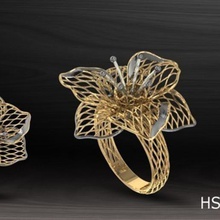 nokta ring jewelry noktaring 175 size 3d jewellery 3d print model - Mito3D