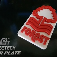 nottingham forest fc - logo art signs logos 3d print model - Mito3D