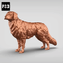 nova Scozia anatra pedaggio retriever v1 arte cane animale giocattolo domestico figurine 3d print model - Mito3D