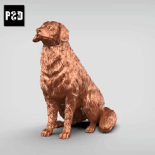 estrella escocia Pato peaje perdiguero v2 Arte perro animal juguete mascota figuritas 3d print model - Mito3D