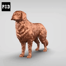 nova Scozia anatra pedaggio retriever v3 arte cane animale giocattolo domestico figurine 3d print model - Mito3D