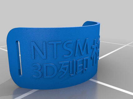 nstm étiquette nom boyuan catégorisé 3d print model - Mito3D