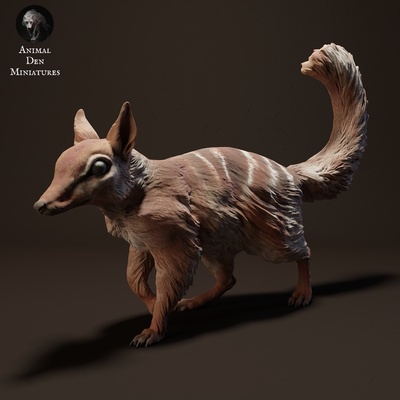 numbat animale compagno formichiere roditore selvaggio fauna selvatica creatura realistico scultura figurina figura miniatura pascolo deserto 3d print model - Mito3D