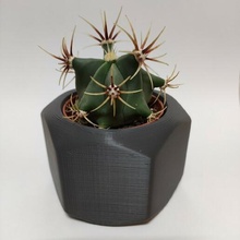nut ikea mini cactus pot planter vase flower decor decoration mechanic 3d print model - Mito3D