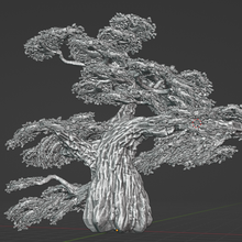 quercia albero 3d print model - Mito3D