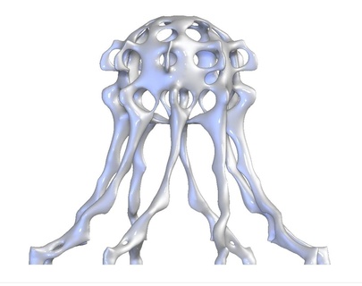 Okto Koralle Kunst organisch voronoi Mathematik Wissenschaft 3d print model - Mito3D