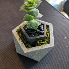 octo vase home planter 3d print model - Mito3D