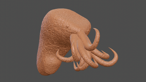 octopus Art octopus nomad sculpt art creature sea hogwarts beast  3d print model - Mito3D