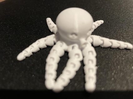 polvo animal 3d print model - Mito3D