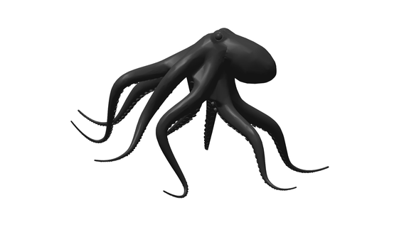 octopus octopus- animal - sea nature fish 3d print model - Mito3D