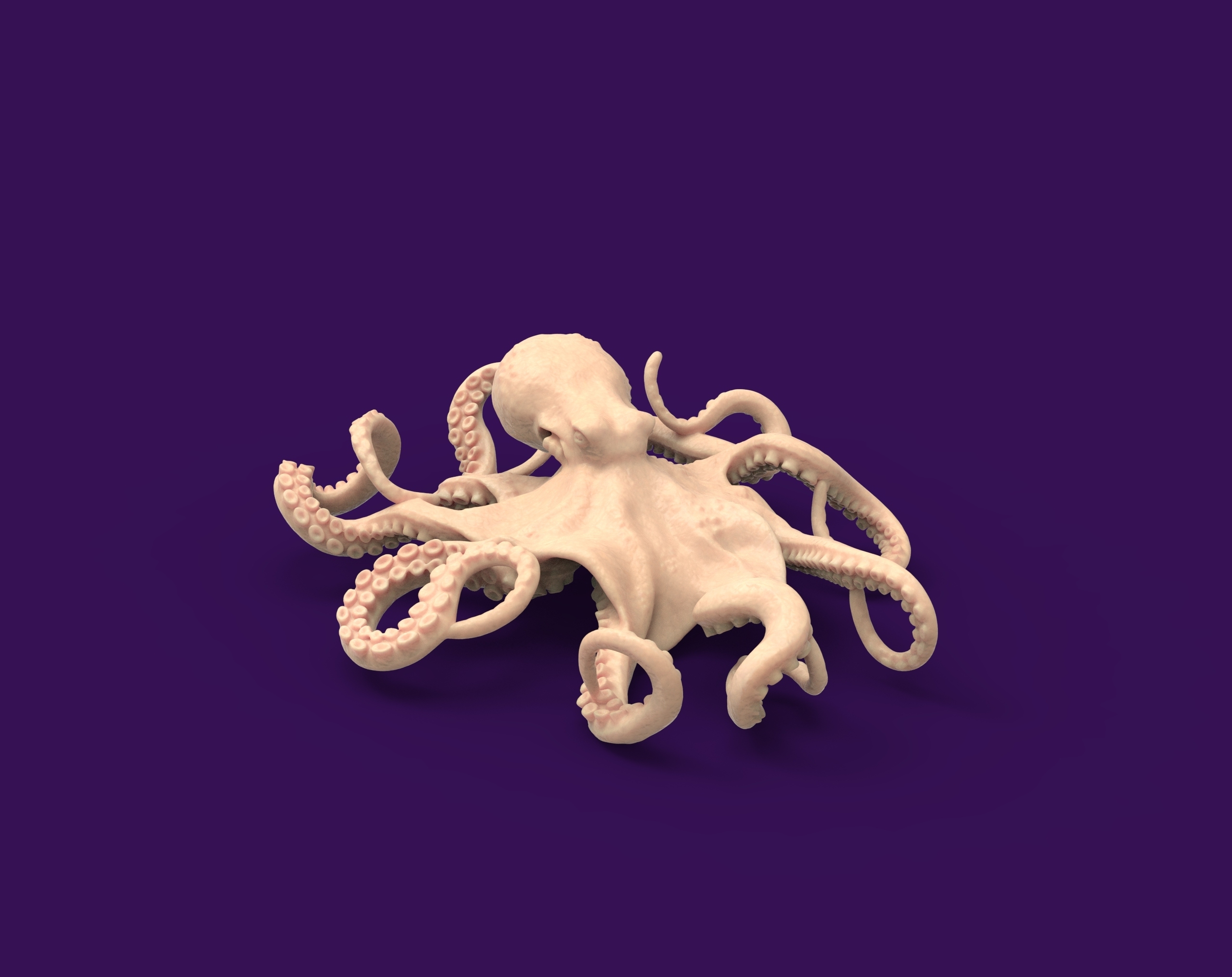 octopus 3D print model - Mito3D